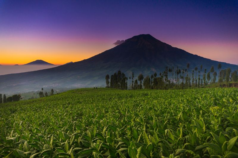 Menjemput Fajar dan Memeluk Bintang di Wisata Alam Posong Temanggung