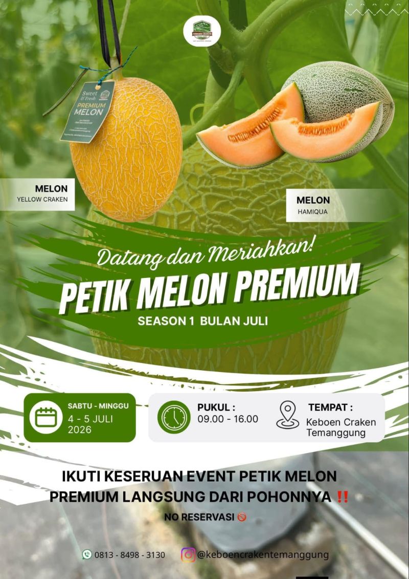 AGROWISATA TEMANGGUNG: DUKUNG KETAHANAN PANGAN LEWAT AGRO-EDUKASI